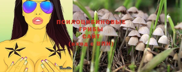 гидропоника Кулебаки
